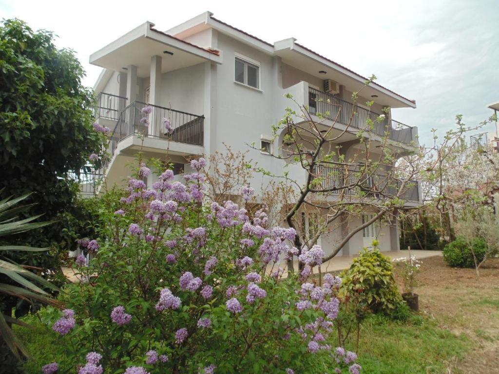 Apartments Macaso Бар Екстериор снимка