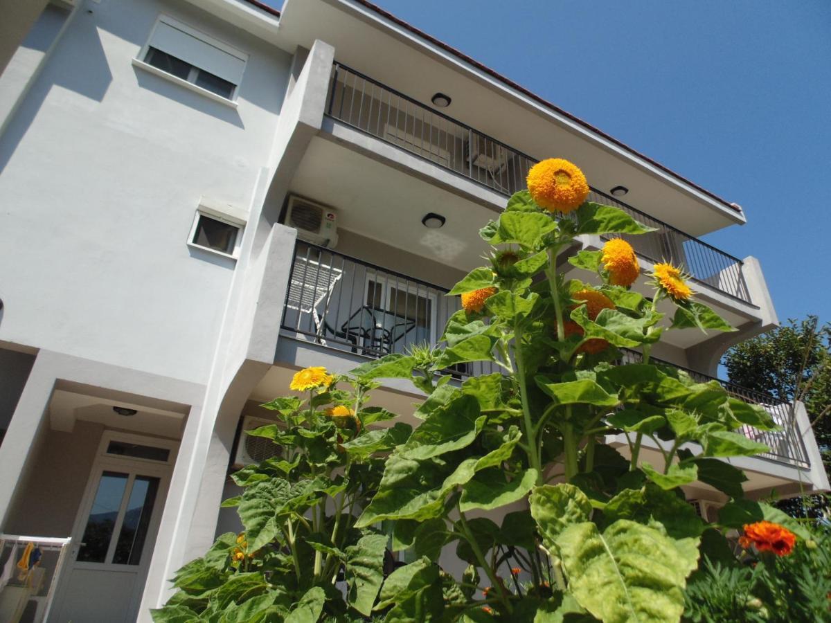 Apartments Macaso Бар Екстериор снимка