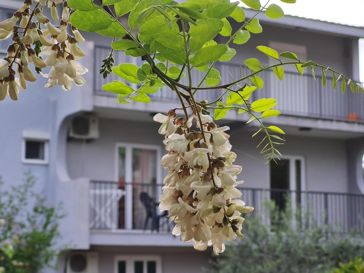 Apartments Macaso Бар Екстериор снимка